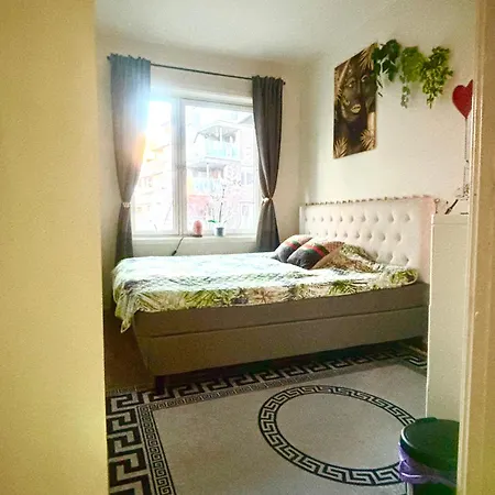 홈스테이 Comfortable